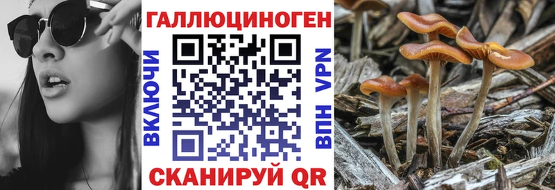 Галлюциногенные грибы мицелий  Электросталь 